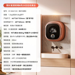 大宇 壁挂式洗衣机迷你小型内衣裤婴儿超薄洗烘一体机小壁虎BGX12H