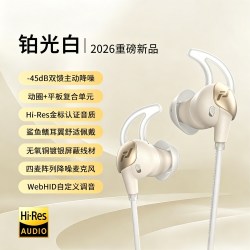 Feaulle 虹入耳式有线耳机主动降噪动圈平板FPS游戏音乐typec接口耳塞