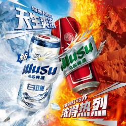 乌苏啤酒 乌苏风景罐500ml*16+乌苏白啤500ml*4罐罐装啤酒非整箱