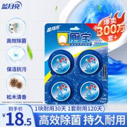 蓝月亮 洁厕块 50g*4块 松木香味