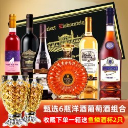 誉宾 洋酒组合套装威士忌酒xo白兰地干红白甜葡萄酒6瓶高档礼盒装送礼