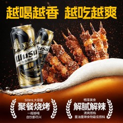 乌苏啤酒 黑啤500ml罐装红乌苏白啤酒整箱混合口味非原箱