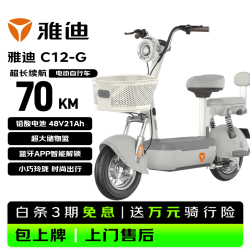 雅迪 C12 新国标电动自行车 独角兽灰