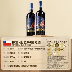 傲鱼 红酒蔚蓝R4智利原瓶原装进口葡萄酒赤霞珠干红高品质旗舰正品