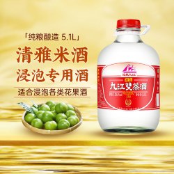 九江双蒸 浸泡常用白酒青梅花果玻璃瓶装泡药用酒米香型粮食泡酒水