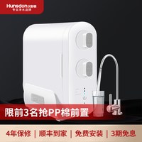 汉斯顿 净水器家用直饮0阻垢剂0陈水厨房自来水过滤反渗透净水机D3
