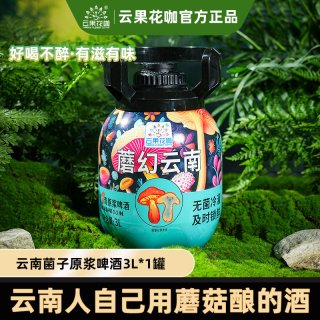 云南特产见手青原浆啤酒魔幻牛肝菌蘑菇风味精酿大麦小麦啤酒3L