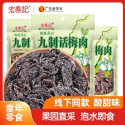 宏泰记 九制话梅肉酸梅干无核梅肉干杏梅子零食