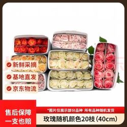 京东鲜花 玫瑰花20枝鲜切花花年宵花基地现采现发源头直发