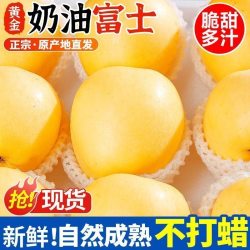 山东正宗黄金奶油富士苹果苹果脆甜奶油味新鲜孕妇水果现摘多汁