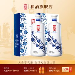和酒 青花10年陈500ml*2瓶黄酒礼盒酒 十年特型半干年份酒年货礼