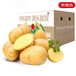 京地达 2025新货山东黄心土豆 净重5斤 新鲜蔬菜  洋芋源头直发 京东快递 山东新鲜土豆5斤