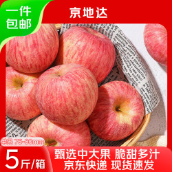 京地达 烟台红富士苹果水果5斤 一级果75-80mm 新鲜水果源头直发
