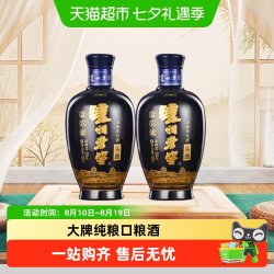 泸州老窖 蓝花瓷头曲小酒版52度浓香型纯粮食酒口粮酒168ML*2瓶