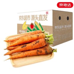 京地达 山东新鲜胡萝卜当季脆甜 净重4.5斤 新鲜蔬菜带泥发货 产地直发