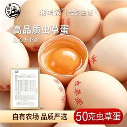 我老家 高品质虫草蛋山林散养50克新鲜营养现捡现发破损包赔