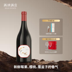 西鸽酒庄 玉鸽单一园黑比诺黑皮诺干红葡萄酒宁夏贺兰山东麓红酒