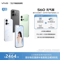 vivo S60 元气版 长续航 拍照手机