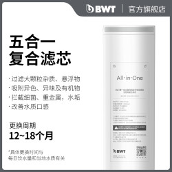 BWT 德国BWT畅享台上净饮机泡奶机定量恒温出水家用净水RO