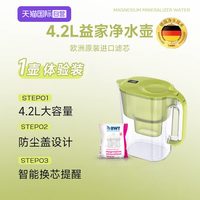 BWT 德国BWT倍世进口滤芯净水壶滤芯家用过滤水壶滤芯去水垢