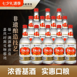 彭祖 中华四川非遗48度500ml彭祖二曲浓香型纯粮白酒老窖酒业
