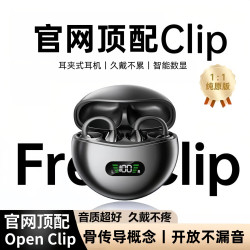 萨勒芬妮 蓝牙耳机真无线骨传导概念挂耳