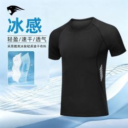 赢虎 运动健身T恤夏季男运动短袖t恤2026新款宽松透气大码圆领短袖训练
