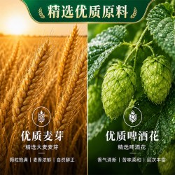 雪花 纯鲜啤酒500ml*12听易拉罐装整箱批发 雪花啤酒