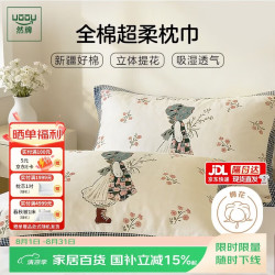 然牌 A类纯棉枕巾 防油防汗加大加厚纱布枕头巾 一对装 50*80cm