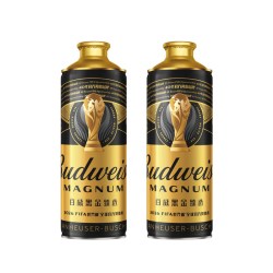 百威 黑金臻选精酿啤酒1L*2瓶桶装大容量尝鲜装