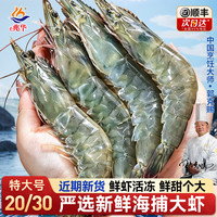 兆华 虾青岛大虾1500g*1盒 1500g(净重)  海捕大虾20/30个头大肉质肥嫩