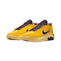 Nike LEBRON WITNESS HQ8035-700 减震耐磨篮球鞋