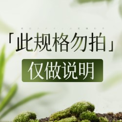 韩方五谷 身体乳保湿滋润肤乳秋冬女男夏季非烟酰胺果酸全身嫩白