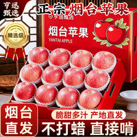 亨迅 烟台苹果水果山东栖霞红富士脆甜平果一级整箱新鲜水果生鲜 5斤装 单果76-80mm 净重4.5斤
