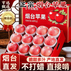 亨迅 烟台苹果水果山东栖霞红富士脆甜平果一级整箱新鲜水果生鲜 5斤装 单果76-80mm 净重4.5斤