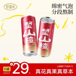 好望水 望山楂 气泡果汁饮料 330ml*6瓶