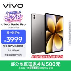 vivo Pad6 Pro 13.2英寸 平板电脑（第五代骁龙8 至尊版、12GB、256GB、WiFi版、自在灰）