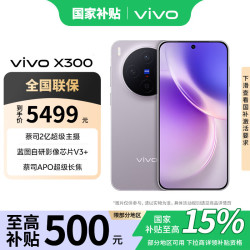 vivo X300 5G 手机 惬意紫 12GB 512GB