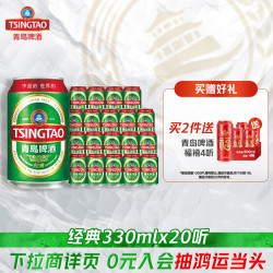 青岛啤酒 经典系列330ml*20听