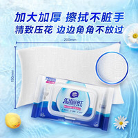 维达 湿厕纸巾40片/包 私处洁净可冲散擦屁股湿巾纸 40片*2包