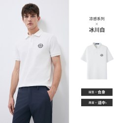 navigare [冰丝]Navigare小帆船夏季灰色刺绣POLO衫男士休闲短袖翻领T恤
