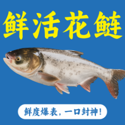 花鲢3斤含素菜3份】