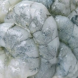 黄记煌 整只大虾滑