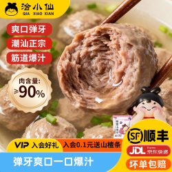 洽小仙 潮汕牛肉丸潮汕特产牛筋丸200g 火锅烧烤露营食材