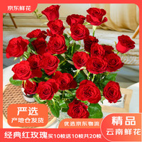 京东鲜花 云南昆明基地直发20支红玫瑰花束鲜切花束鲜花生活鲜花源头直发
