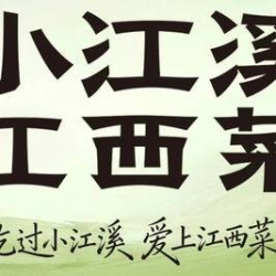 100元代金券|限1张