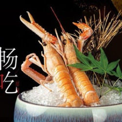 单人全天通用自助