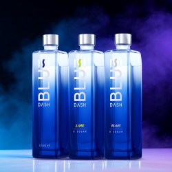 布鲁大师 BLUEDASH 零糖15度利口酒550ML力娇酒blue酒