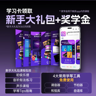 法丽达 F2020 单摇电吉他+魔耳大黄蜂15W充电音箱套装