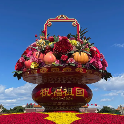 打卡广场+参加升旗仪式带讲解+城楼